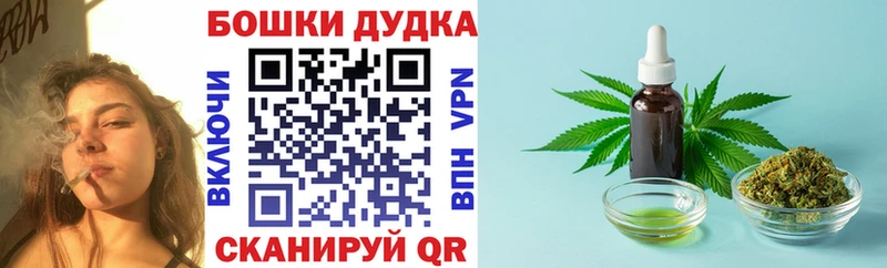 Что такое Кочубеевское Меф