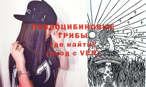 бошки Абинск