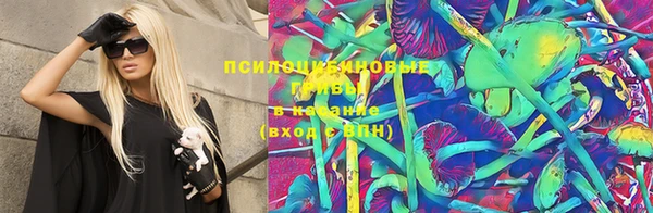 бошки Абинск