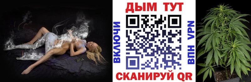 сколько стоит Кочубеевское Конопля гибрид